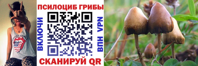 Псилоцибиновые грибы MAGIC MUSHROOMS  Воркута 