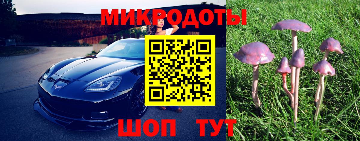 Галлюциногенные грибы Psilocybine cubensis  Воркута  продажа наркотиков  Галлюциногенные грибы ЛСД 